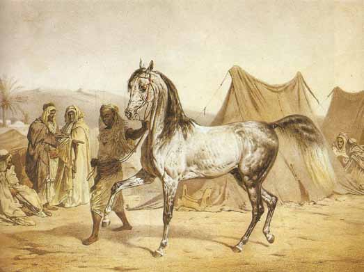 Baron Fechtig még a szabadságharc szürke lovasának a megsebesült Gaál László tábornoknak is menedéket adott, amiért rövid időre börtönbe kellett vonulnia. 1850-ben halt meg Temesvár közelében.