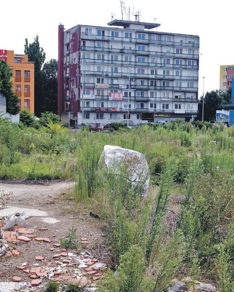 Környezetvédelem / Životné prostredie 19 Kaszálnak - felszólításra A telektulajdonosok egy része még mindig kivár a gyomok lekaszálásával Köztudott, hogy az építkezési telkeken és minden más jellegű