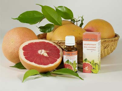 KERMI engedélyszám: E-98/001979-6 OETI szám: 2349/2007 A Grape Vital grapefruit mag Erős antioxidáns hatása - semlegesíti a szabadgyököket az agyban, a vérben, a sejtekben és a sejtmagban.
