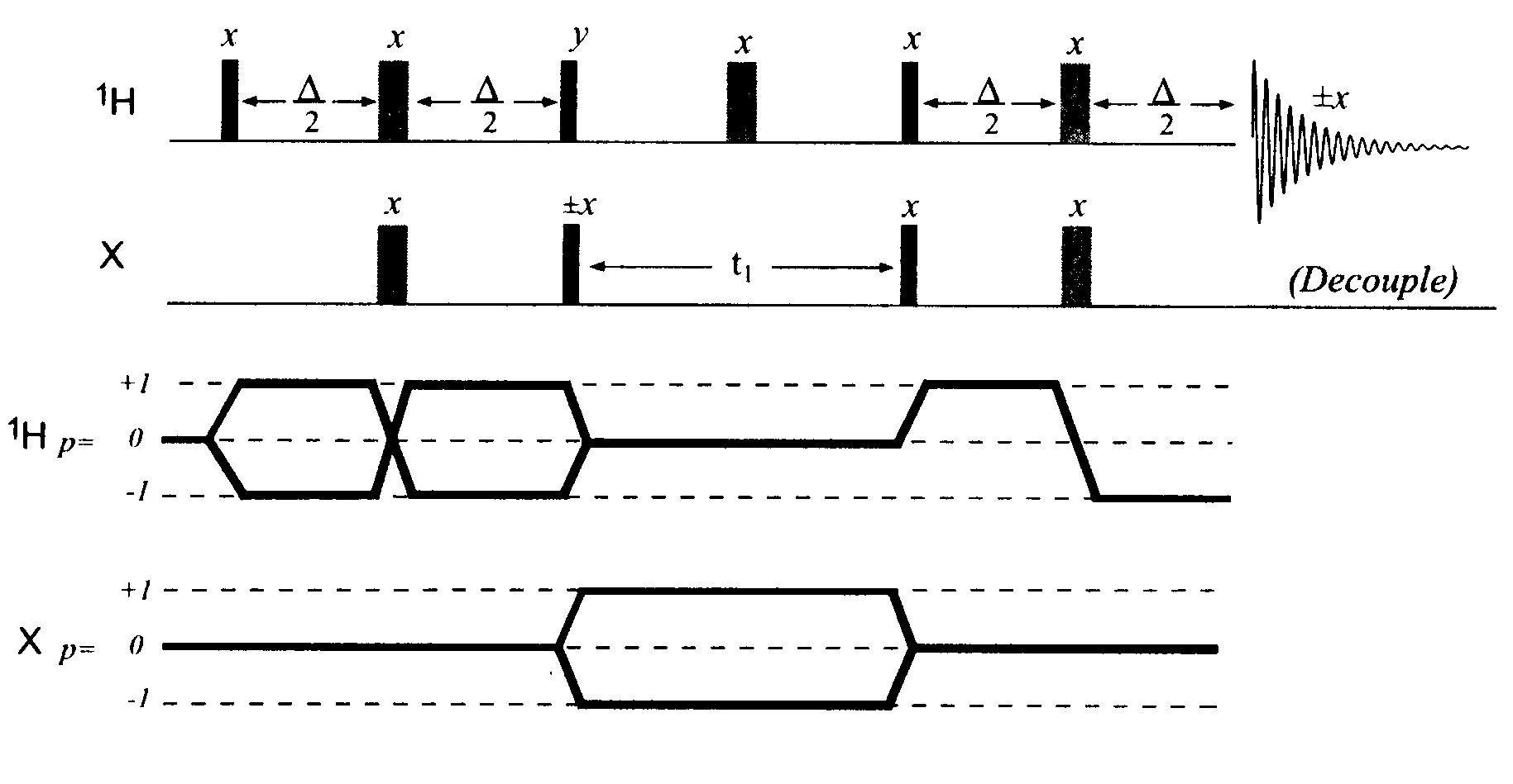 101 HSQC (Heteronuclear Single-Quantum Correlation): mint azt a neve is sugallja, a leglényegesebb különbség az HMQC-hoz képest, hogy ebben az esetben a t 1 periódus alatt csak egy-kvantumos 13 C