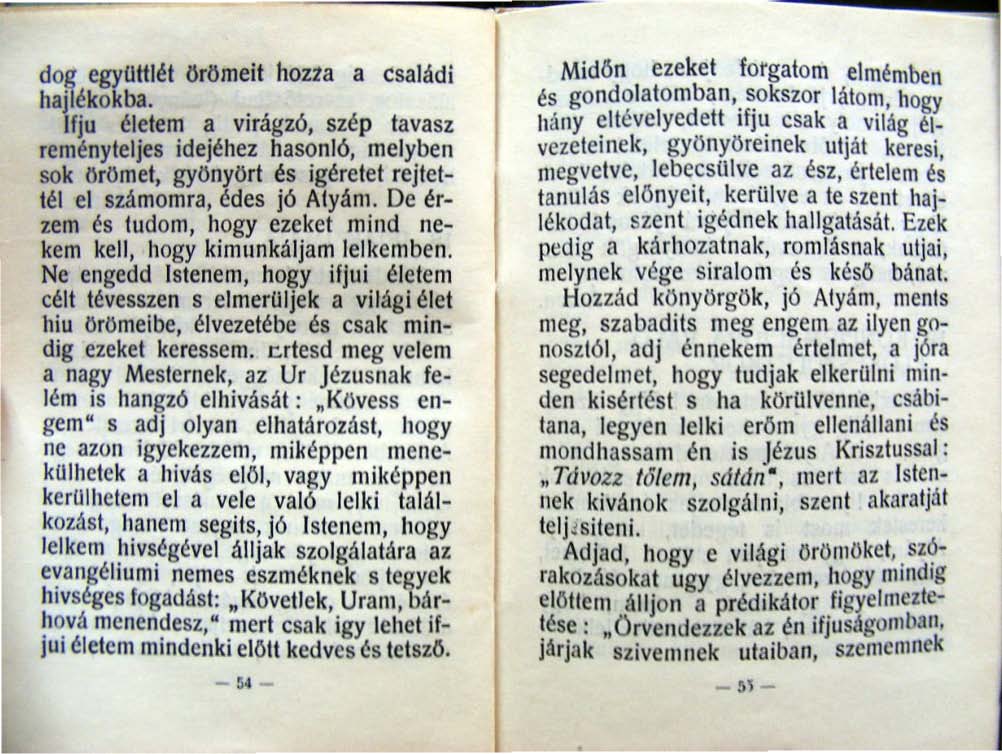 .. - - - -... dog egyuttjét örömeit hozza a családi hajlékokba.