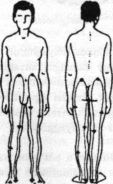 13 Alsó leöntés Almaecetkúra: Dr. Jarvin receptje szerint, 1. Gyümölcsecet Almanap: 1-1,5 kg almát napi 4-5 részre osztva eszünk, az aznapi kizárólagos táplálékként.