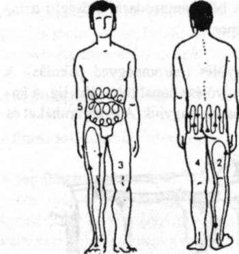 Altestgőzölés 14 kb. egy tenyérnyivel magasabbra, a mellső oldalon egészen az alsó bordaívig vezetik a vízsugarat, így az szétterülve a törzsön és a lábszárakon folyik lefelé.