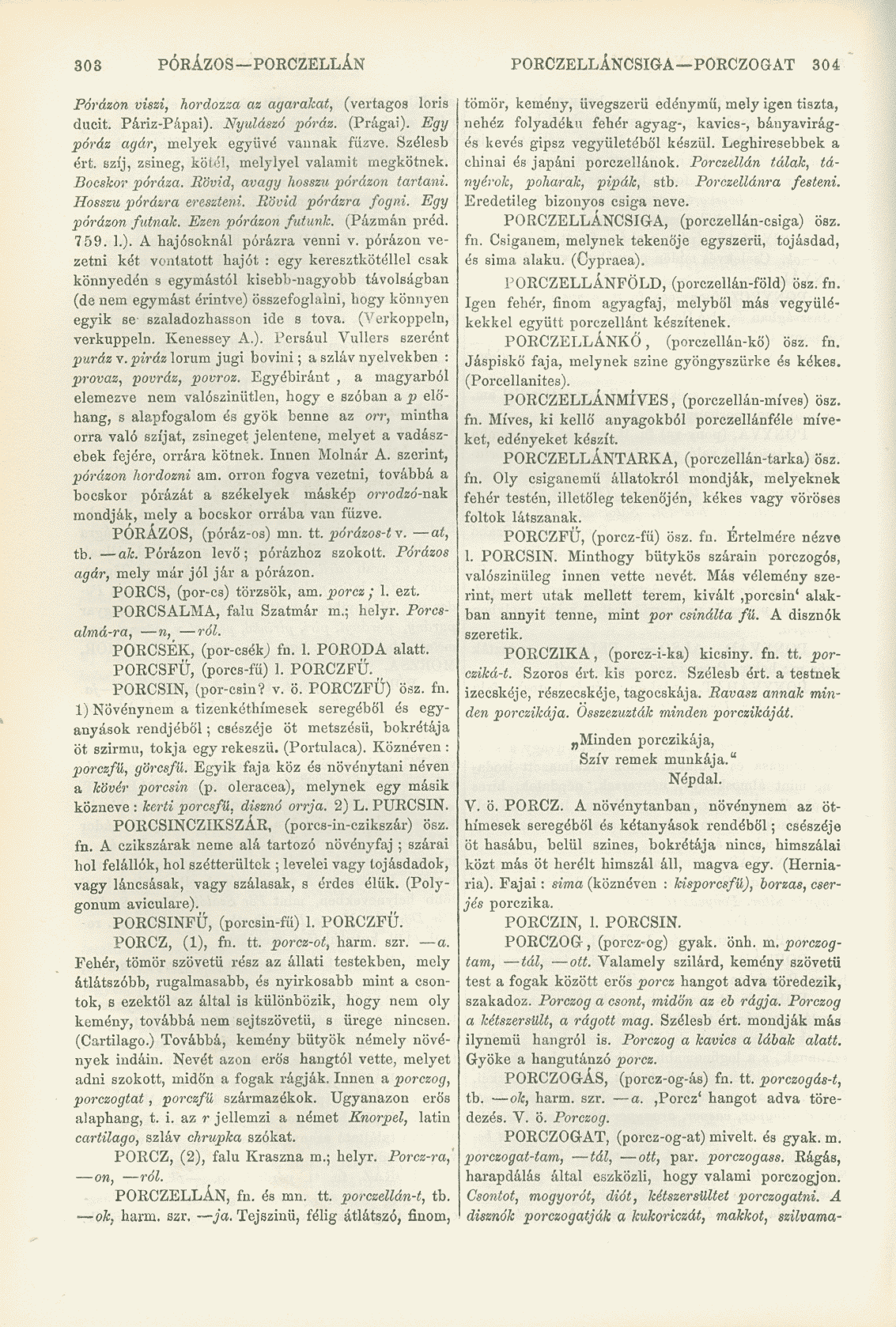 303 PÓRÁZOS PORCZELLÁN PORCZELLÁNCSIGA PORCZOGAT 304 Pórázon viszi, hordozza az agarakat, (vertagos loris ducit. Páriz-Pápai). Nyulászó póráz. (Prágai). Egy póráz agár, melyek együvé vannak fűzve.