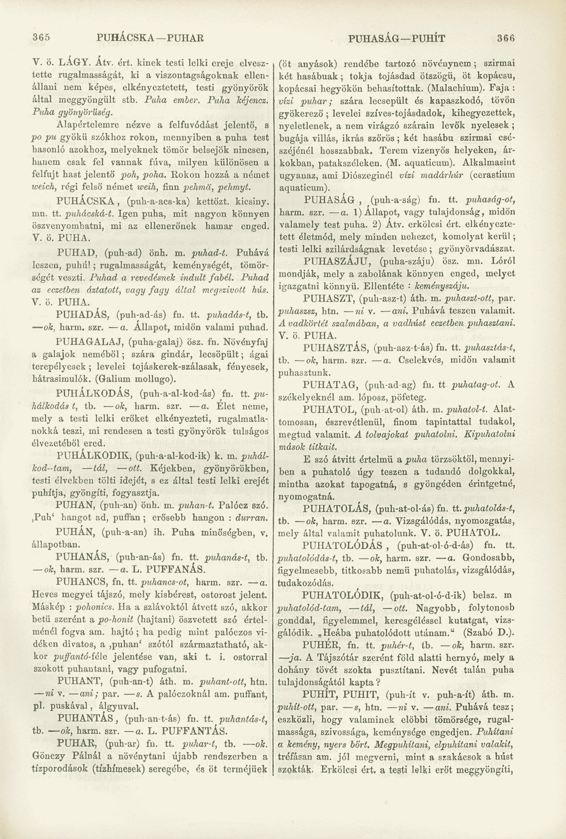 365 PUHÁCSKA PUHAE PUHASÁG PUHÍT 366 V. 5. LÁGY. Átv. ért.