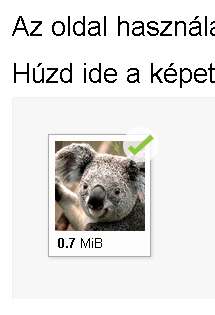 Ha a elakadnál, írj nekünk bátran az alábbi e mail címre: iesmost.com@gmail.com Regisztráció léprõl lépre: Profilkép Profilképünk feltölte 1. Megjelenik az elsõ bejelentkez után.