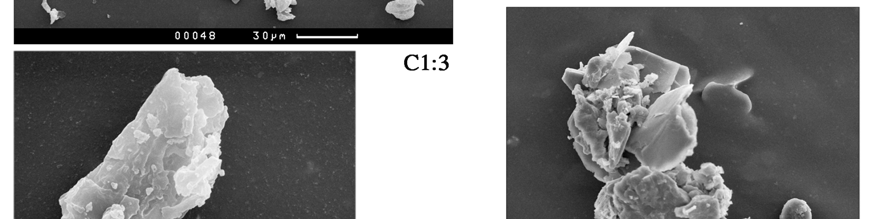 : 1 3: The phytoliths of