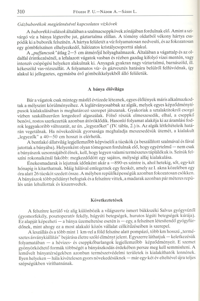 310 FÜGEDI P. U.-NÁDOR A.-SÁSDI L. Gázbuborékok megjelenésével kapcsolatos vízkövek A buborékkiválásokáltalában a szalmacseppkövek zónájában fordulnak elo.