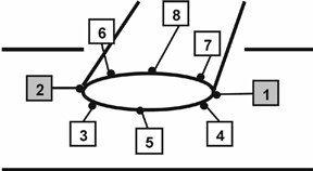 D1. MODUL Mikrosebészeti alaptechnikák 6. Rész Anastomosis modellek élettelen rendszerben.