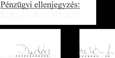 (l) bekezdése alapján jelen Vállalkozási szerződésnek Megrendelő részéről tartalmaznia kell a pénzügyi ellenjegyzés tényét és a pénzügyi ellenjegyző keltezéssel ellátott aláírását. 11.6.