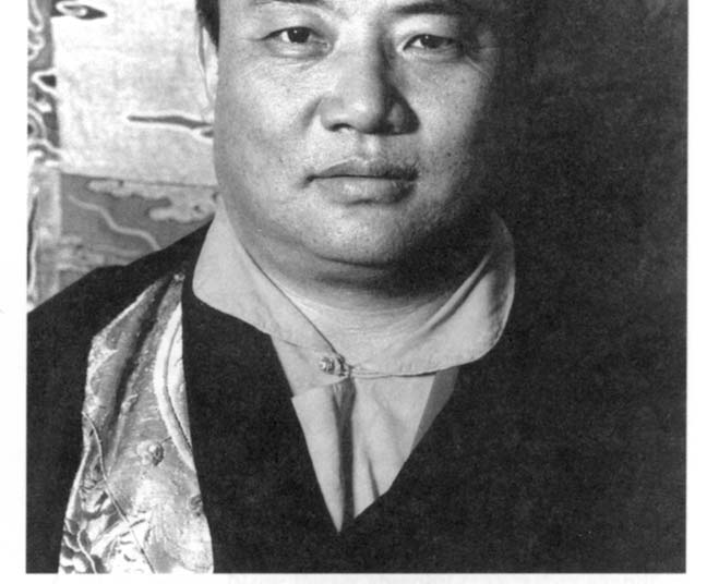 Köszönetnyilvánítás Legmélyebb hálával tartozunk Rangdzsung Rigpe Dordzsénak, a 16. Karmapának.
