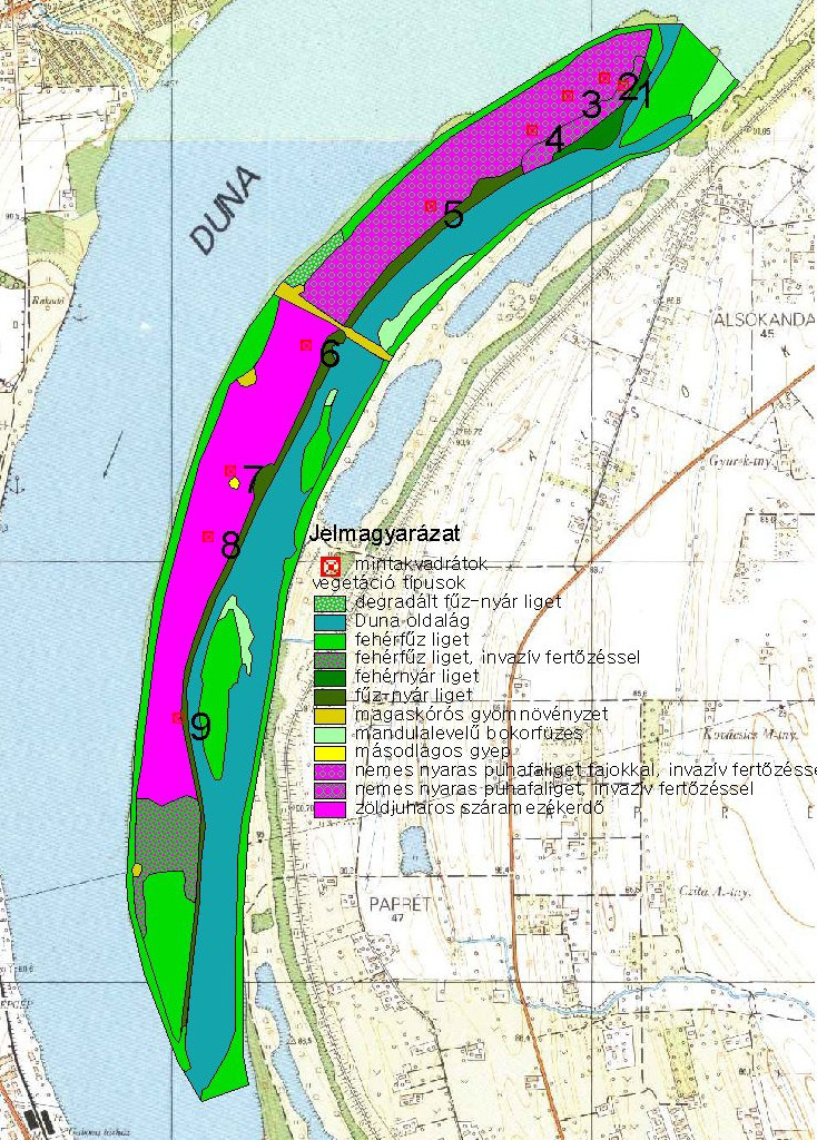 A SZABADSÁG-SZIGET ERDŐÁTALAKÍTÁSÁNAK MONITOROZÁSA 2011-2013 A monitorozás megkezdése előtt elkészült a terület vegetáció térképe, amely a beavatkozások előtti állapotot rögzítette és segített