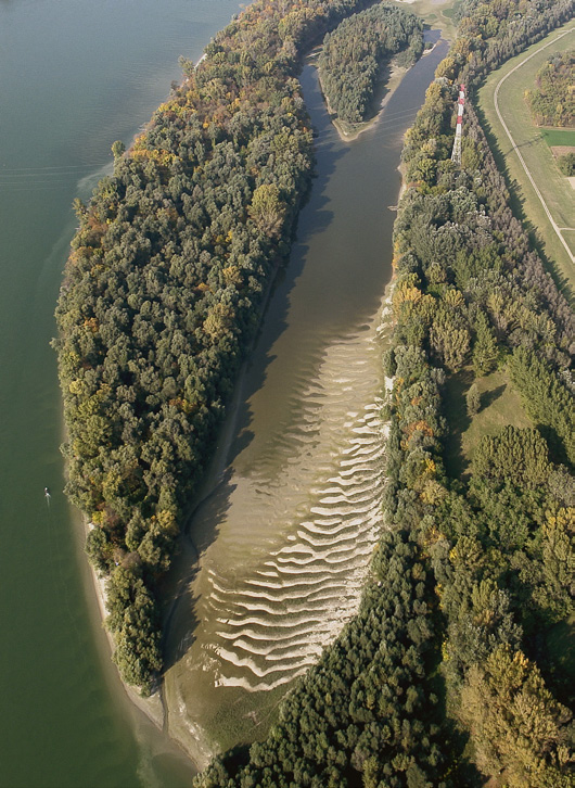 A projektben a WWF Magyarország partnerei a Duna-Dráva Nemzeti Park Igazgatóság, az Alsó-Duna-völgyi Vízügyi Igazgatóság és a Dunántúli Regionális Vízmű Zrt. voltak.