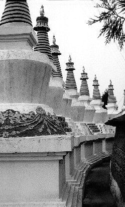 286 minden határon túl Kalu Rinpocse kolostora elõtt álló sztúpák Szonadában Felgyorsultak az események.
