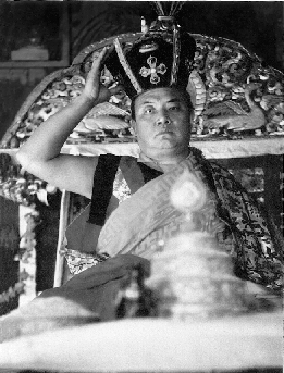 35 jön karmapa méregdrága luxusautókban vitték õket. Ott gazdag adakozókból volt elég, és az egyesületek is készen álltak arra, hogy eladósodjanak.