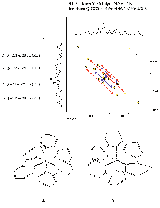 A 2 H- 2 H Q-COSY kísérlet (kb. 3 mg complex) 14 biztosítja az összetartozó magpárok egyértelmű azonosítását.