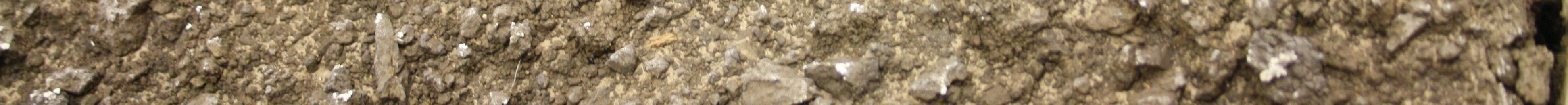 Az oldott, vagy kvázi oldott formájú szerves szén nem tehet ki nagyobb mennyiséget, hiszen a talajban található szénformák meghatározó része nem vízoldható.