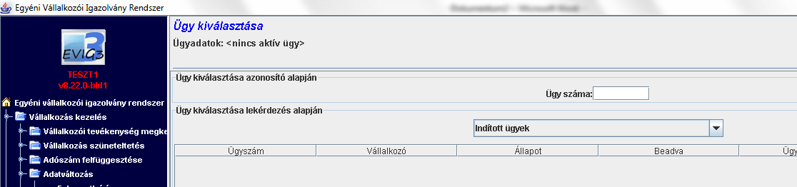 8.13 Lekérdezési felületek A különböző lekérdezési felületek a szakrendszeren belüli keresést teszik lehetővé, akár az egyéni vállalkozás adatai, akár az egyes ügyek adatai tekintetében.