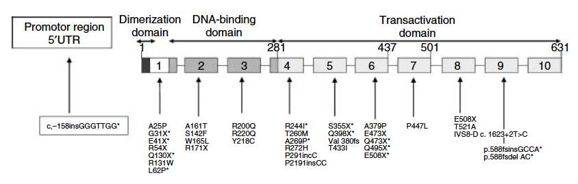 A CRP, mint HNF1A biomarker Owen