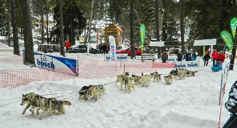 2013-ben budapesti és székely mesterszakácsok tanították az éttermi személyzetet: megszületett az I. GasztroFeszt, de a város minden hétvégén rendezvényekkel ünnepli Vendégeit.