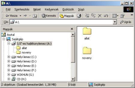 Kétszeres kattintással lépjünk be a NOVENY mappába, majd a fenti módszerrel hozzuk létre a FA és FU alkönyvtárakat, majd a gyökérkönyvtárba visszalépve ugyanígy hozzuk létre az ALLAT mappa belső