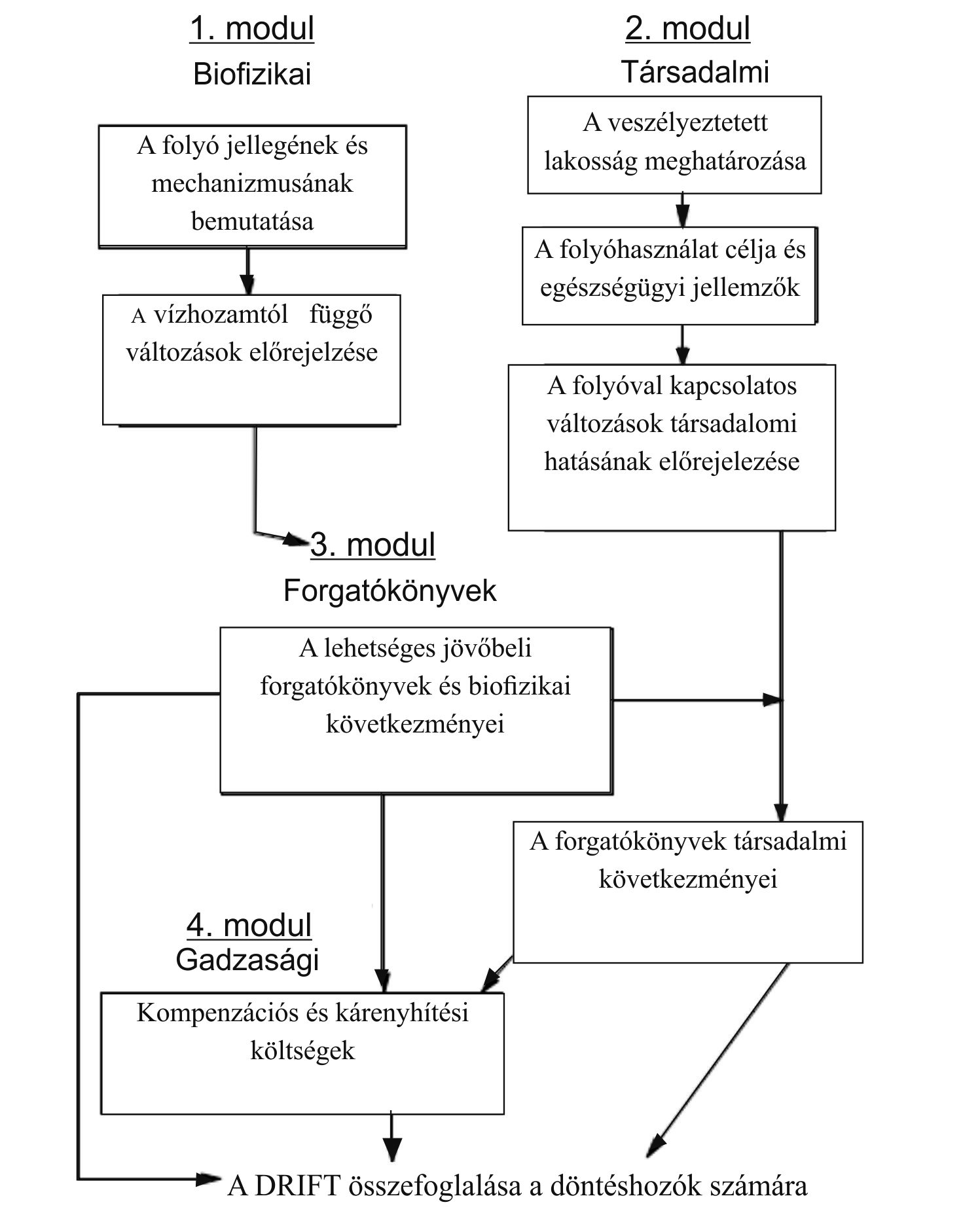 3. ábra A DRIFT négy modulja (King, J. M. et al. [2003] után módosítva) Figure 3 The four modules of DRIFT (modified after King, J. M. et al. 2003) mederfejlődés folyamatait (Kiss T. Andrási G.