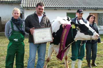 testkapacitását. Az állatot szintén az üszőknél már egyszer dobogón álló Zvekán Szandra vezette fel.