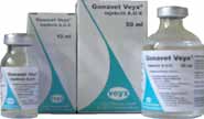 D-Phe 6 -Gonadorelin és a Gonadorelin-acetát különbsége D-Phe 6 -Gonadorelin: Gonavet Veyx Gonadorelin-acetát: Fertagyl Ovarelin Gonasyl a 6. aminósav: d-fenil-alaninra kicserélve 6.