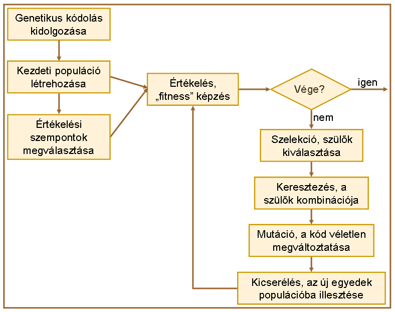 3B3. Irodalmi áttekintés A genetikus algritmus fejlődési folyamata egy kezdeti populációból indul.