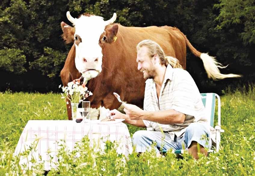 Pecsétes mûbizonylat van arról, hogy Morcos nevû malacot kizárólag bio kajával etették, amellett délutánonként zenét sugároztak neki.