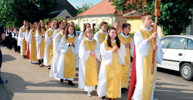 A pályázathoz csatolni kell: szakmai önéletrajz, mely tartalmazza a szakmai gyakorlatot is, iskolai végzettséget, szakképzettséget igazoló diploma másolata, 3 hónapnál nem régebbi erkölcsi