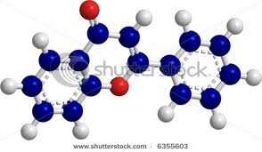 P vitamin - rutin Antioxidatív? Öregedés ellen?