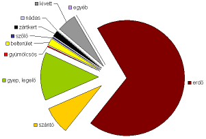 Mővelési ág ha % erdı 24730,8223 69,0078 gyep, legelı 4920,0745 13,7288 szántó 2731,5423 7,622 kivett 1946,8651 5,4324 belterület 705,3785 1,9683 zártkert 602,3948 1,6809 szılı 162,32 0,4529