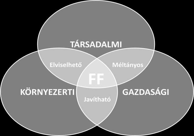 1. A LOCAL AGENDA 21 PROGRAM ÁLTALÁNOS BEMUTATÁSA A nyolcvanas évek elején jelent meg a "fenntarthatóság" vagy a "fenntartható fejlődés" kifejezés a nemzetközi szakirodalomban.