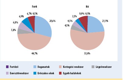 7. ábra: A halálozások kiemelt halálok szerinti megoszlása, 2011 Forrás: KSH 2013, 146 o.