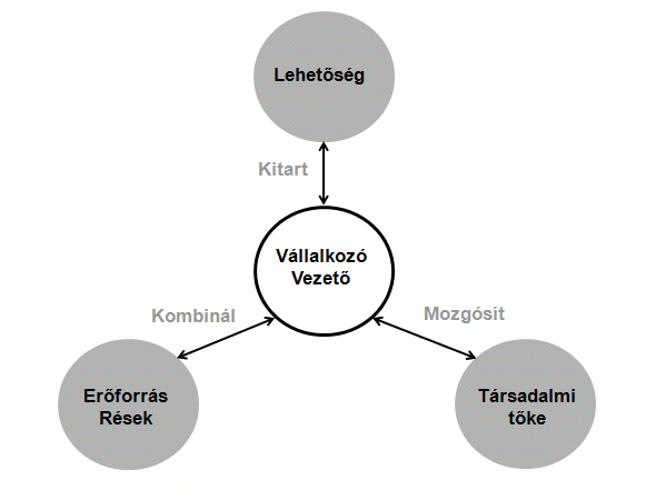 5. ÁBRA: Vállalkozó vezetői szerepek a disszertáció kontextusában A modell középpontjában a vállalkozó vezető áll, akinek célja egy üzleti lehetőség megragadása.