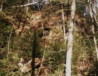 Hohl-Felsen tanösvény volt, nem kellett sokat utaznunk, máris meglett a kis parkoló, amiből