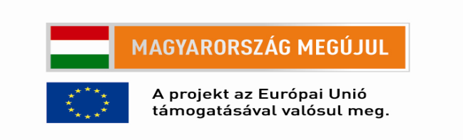 TÁMOP-4.1.1.C-12/1/KONV-2012-0010 Gépészeti mechatronikai hálózati kutatás és képzési együttműködés projekt Vállalati szolgáltatások alprojekt 5.3.1. Vállalkozási szolgáltatási igények és követelményjegyzék, illetve szolgáltatási kézikönyvek kidolgozása Alprojektvezető: Dr.