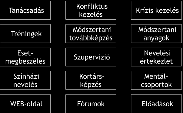 A szakmai koncepció és stratégia meghatározása és koordinációja: A szervezeti egység (osztályon belüli) operatív működésének biztosítása.