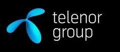 A Telenor világ egyik legnagyobb mobil szolgáltatója Több mint184 millió (2010) mobil előfizető* Körülbelül 40 000 dolgozó 2 milliárd ember él a piacokon, ahol a Telenor jelen van Tízedik éve minden