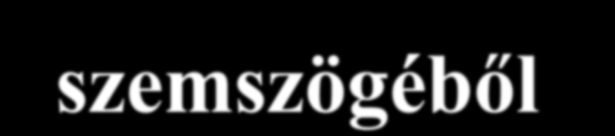 A cégautóadó a bérbeadó szemszögéből Ha bérbeadóként a személygépkocsi tulajdonosa és üzembentartója marad, akkor a 2013.07.