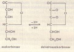 A vitaminok a növényi sejtekben képződnek. Két csoportra oszthatók oldhatóságuk alapján: 1. zsírban oldható vitaminok (A-, D-, E-vitamin), 2. vízben oldható vitaminok (B-vitarninkomplexum, C-vitamin).