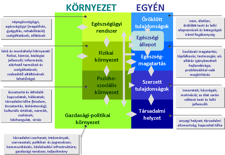 DR. VITRAI JÓZSEF: AZ EGÉSZSÉG ÉS AZ EGÉSZSÉG-EGYENLŐTLENSÉGEK EGYÉNI ÉS KÖZÖSSÉGI SZINTŰ BEFOLYÁSOLÓ TÉNYEZŐI dell mellett szól még az is, hogy az elérhető egészségadatok jobban kötődő tényezők