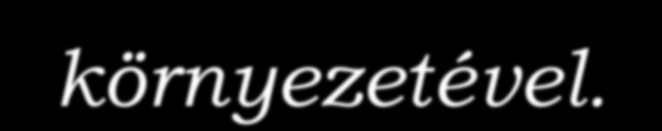 Az egészség olyan potenciális lehetőség, melynek megvalósítása révén az egyén megfelelően alkalmazkodni tud a környezet kihívásaihoz, ill.