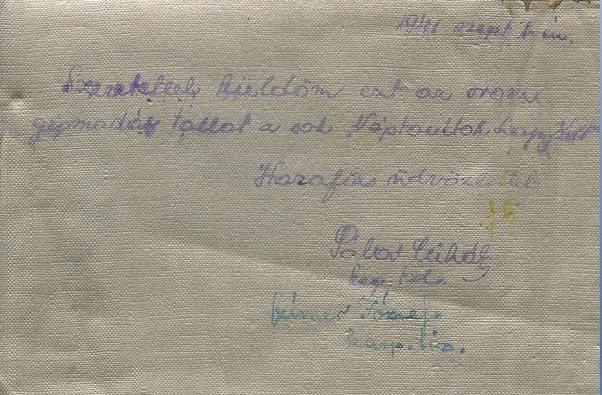 ték ki a viaszos vászon borítást. A repülőből 7000 darabot gyártottak összesen. Már a Spanyol polgárháborúban harcolt, itt kapta a Rata, patkány nevet, amit aztán a magyar katonák is használtak.