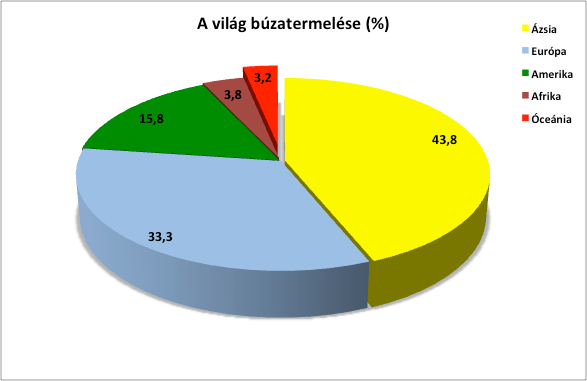 13. ábra: A világ búzatermelése Forrás: FAOSTAT (2009) adatok alapján, saját szerkesztés.