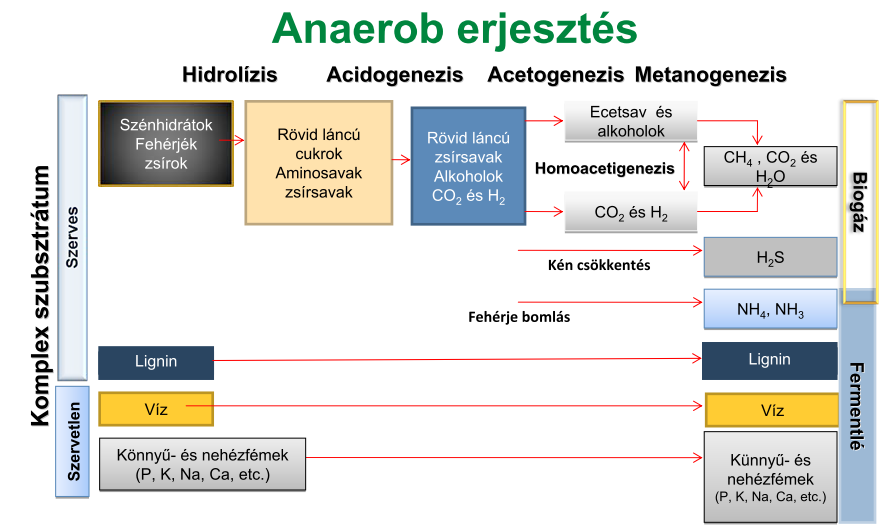 Anaerob erjesztés: A lényegében metánból álló biogáz a szerves anyagok anaerob lebomlásának terméke.
