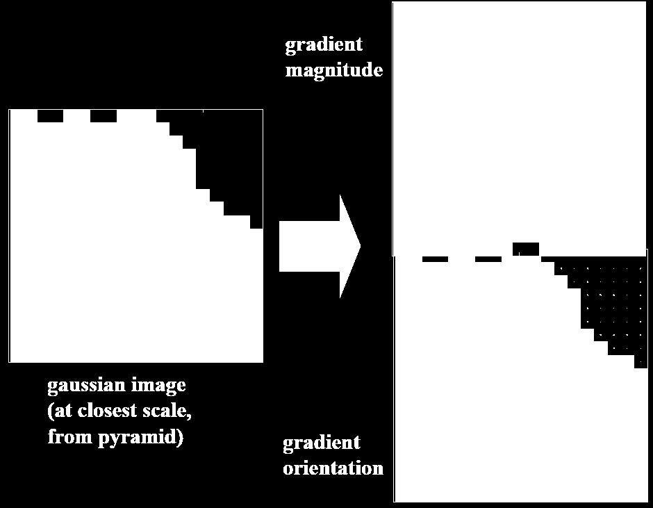 27 Orientáció A kinyert pontokhoz rendeljünk egy konzisztens irányt Minden ponthoz a hozzá tartozó skálán