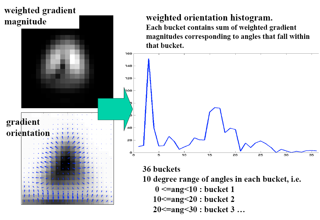 28 Orientáció Súlyozott gradiens magnitúdó Súlyozott irány-hisztogram: Minden csoport azon gradiens-magnitúdók súlyozott összegét tartalmazza,