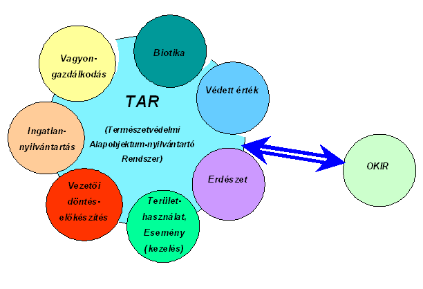 1 Bevezetés 1.1 ÁLTALÁNOS ISMERTETŐ A TIR rendszer 7 modulból áll. Ezen modulok a következők.